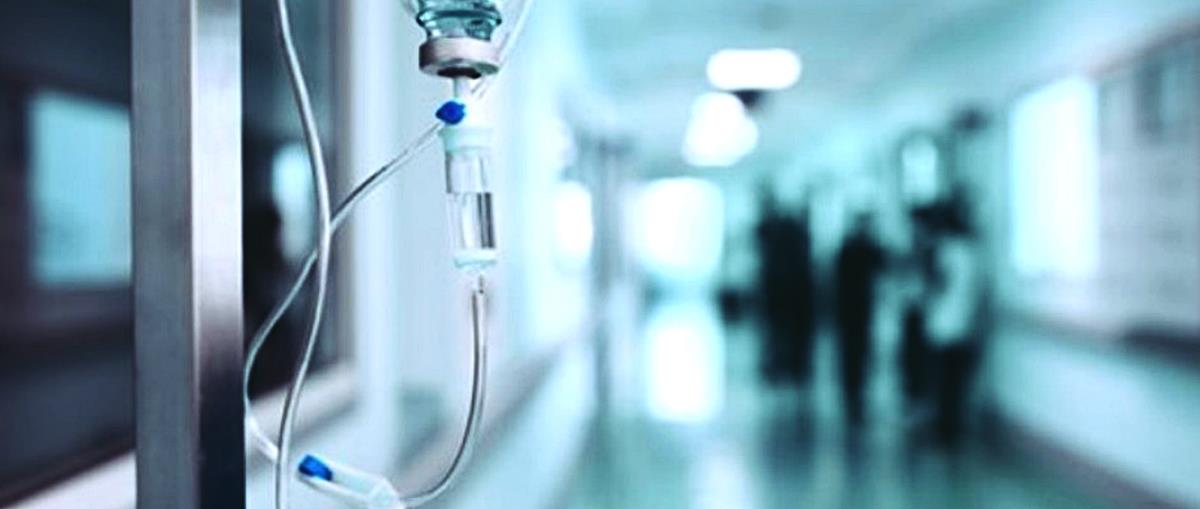 5262253267241694 cats