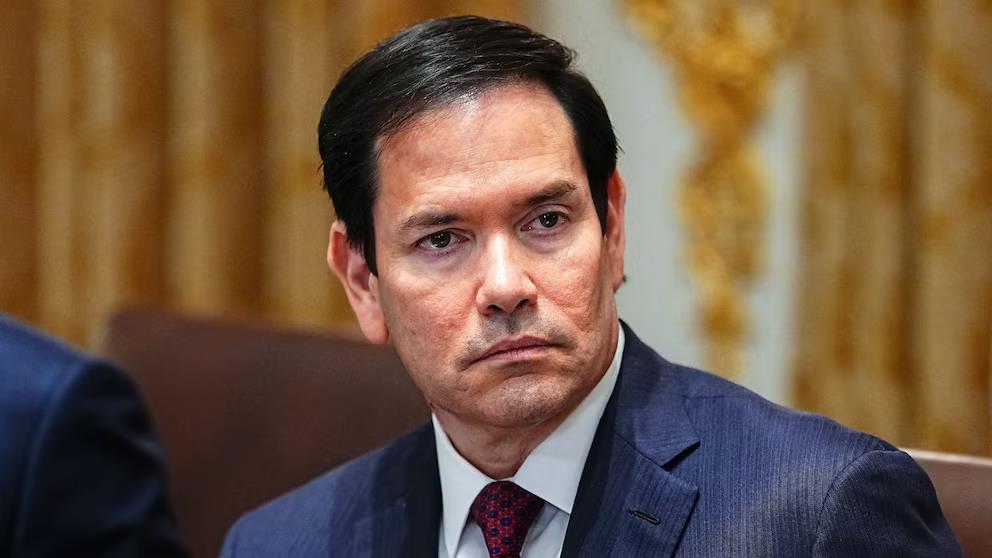 5262516583943381 image