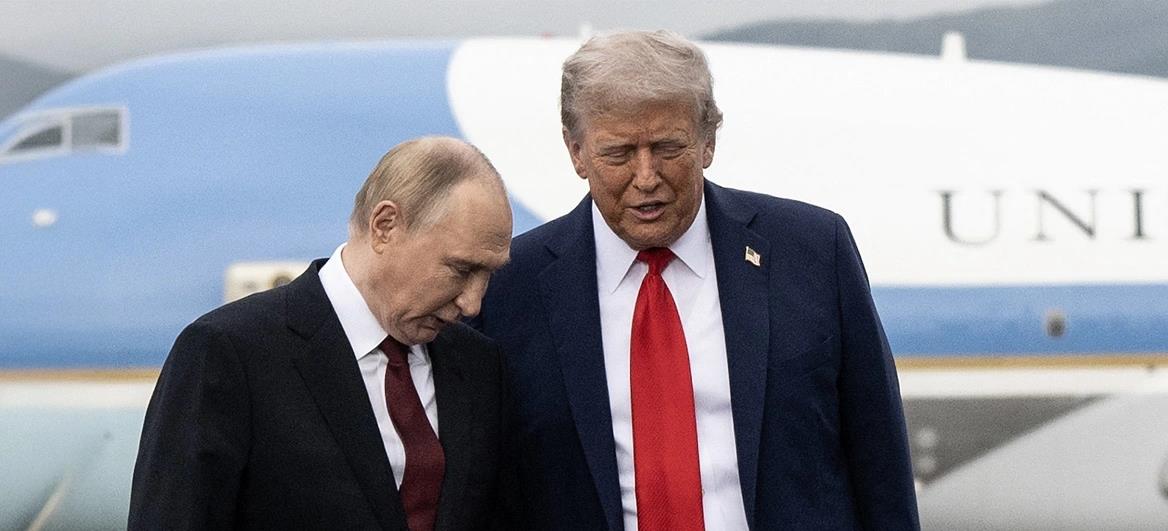 5262900235991825 cats