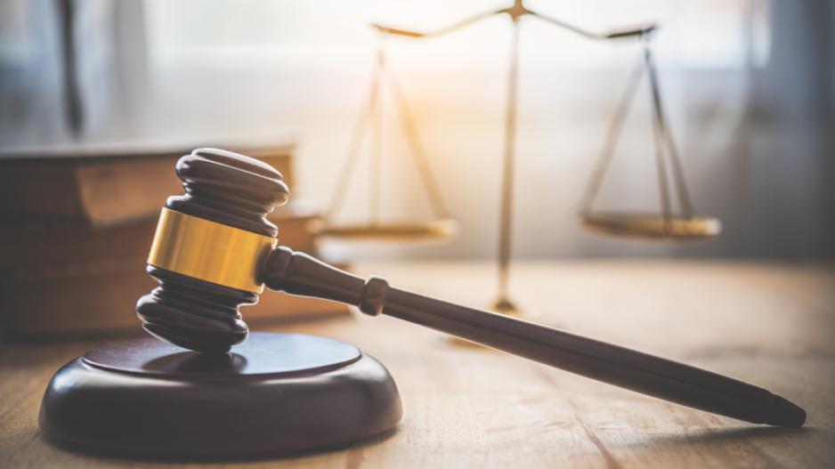 5263231146342509 image