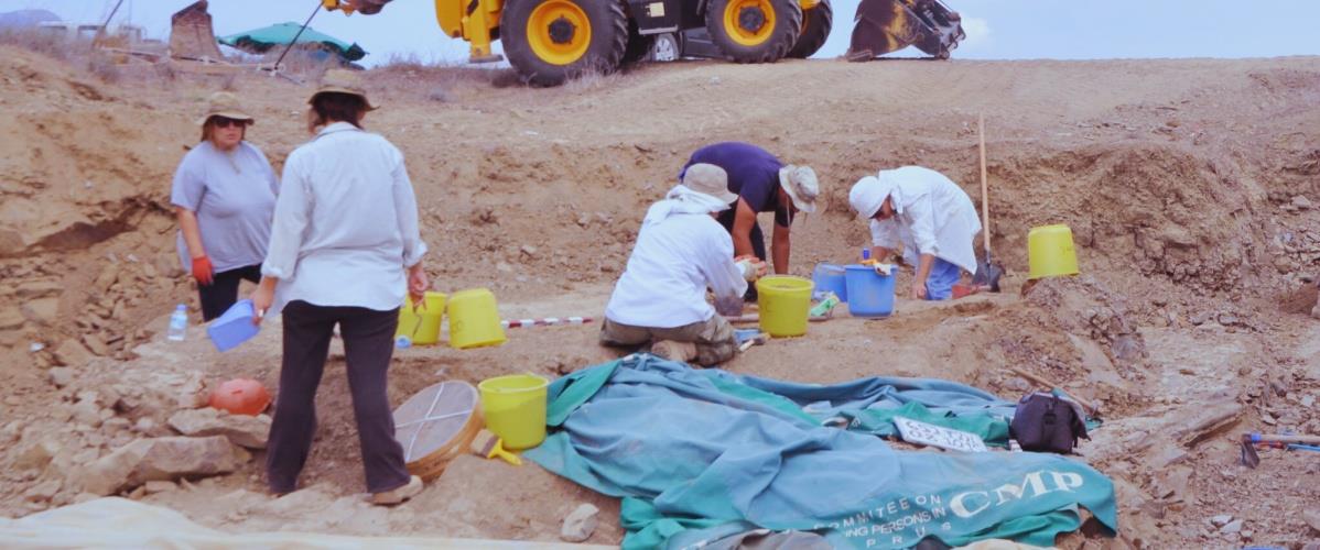 5264061434748763 doc.20151009 .1274520 .mass 2 photo 1 -1-2048x1447