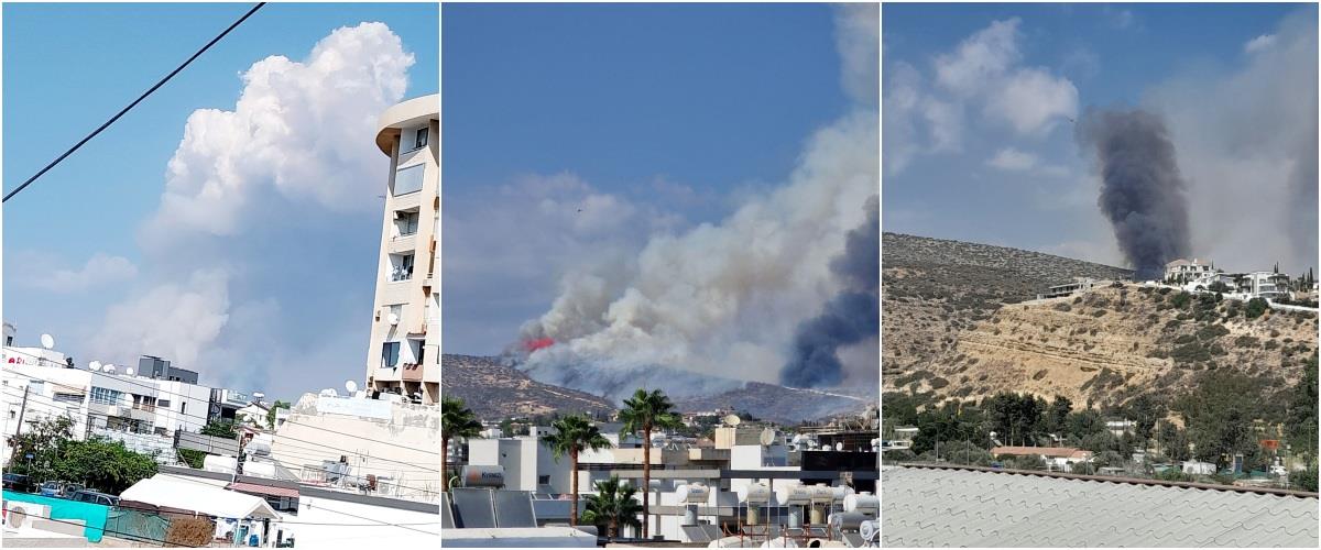 5264910009105328 collage333