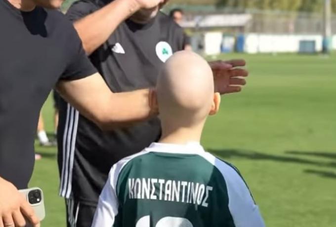 5264921590953290 kost-pao32 144053