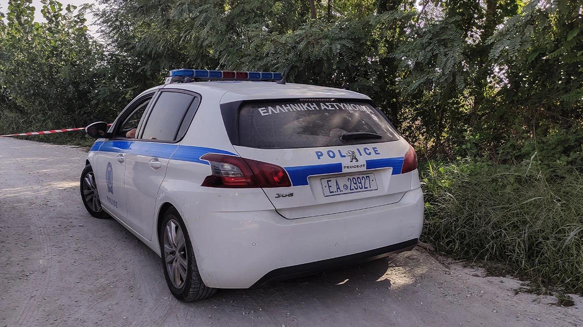 5265575815126636 image