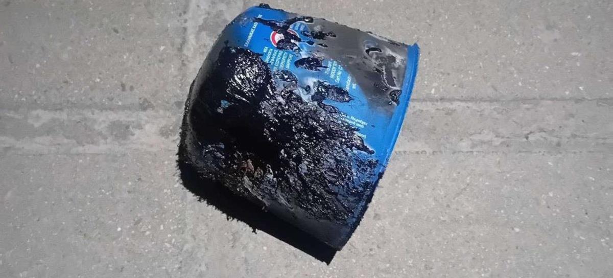 5266606674698094 cats