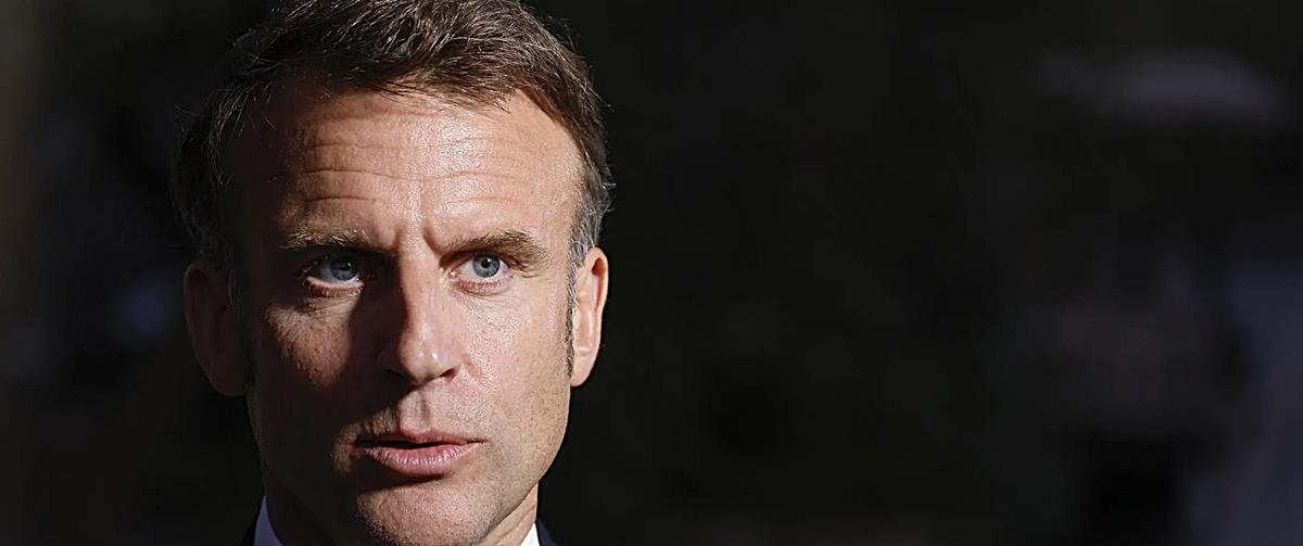 5266620169293772 cats