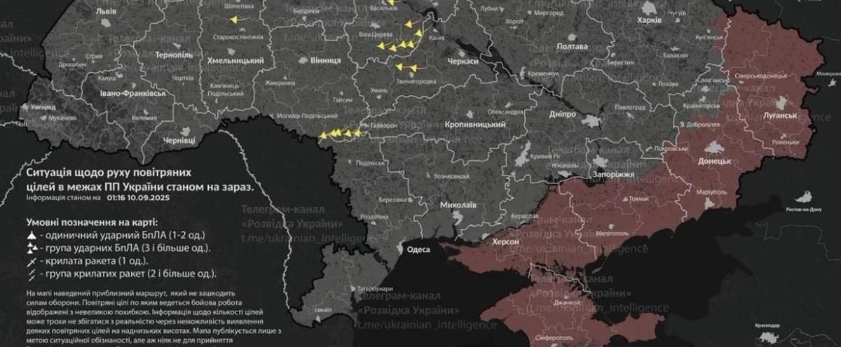 5267197861029567 cats