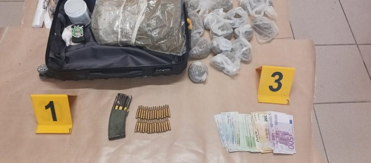 5267201711464448 cats