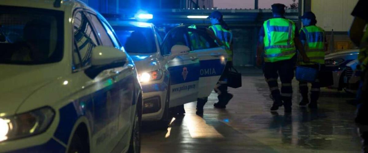 5267218508253885 cats