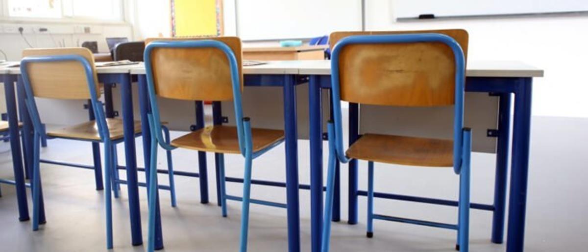 5267266064345700 cats