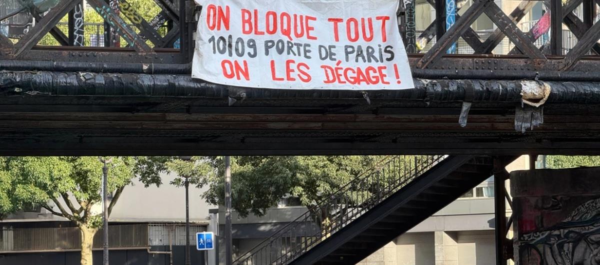 5267277750359478 cats