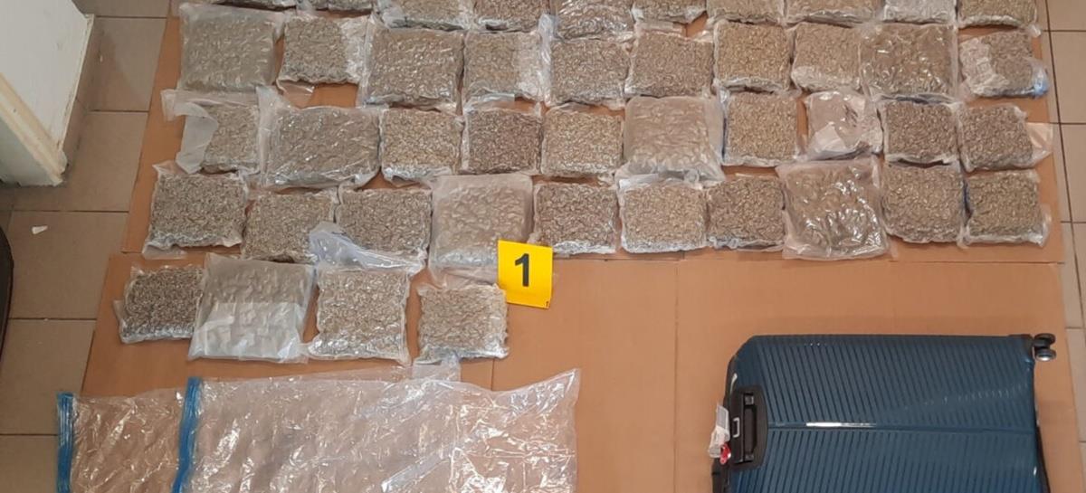 5267292131325858 cats