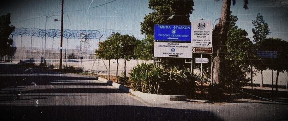 5267348243224892 cats