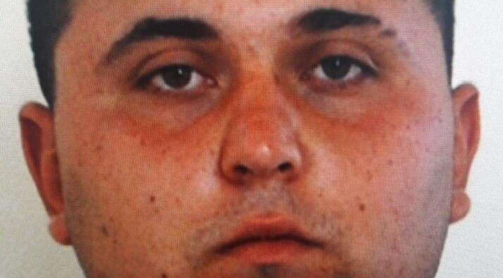 5267399362979428 cats