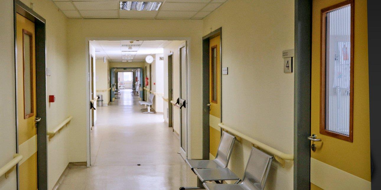 5267419137502531 image