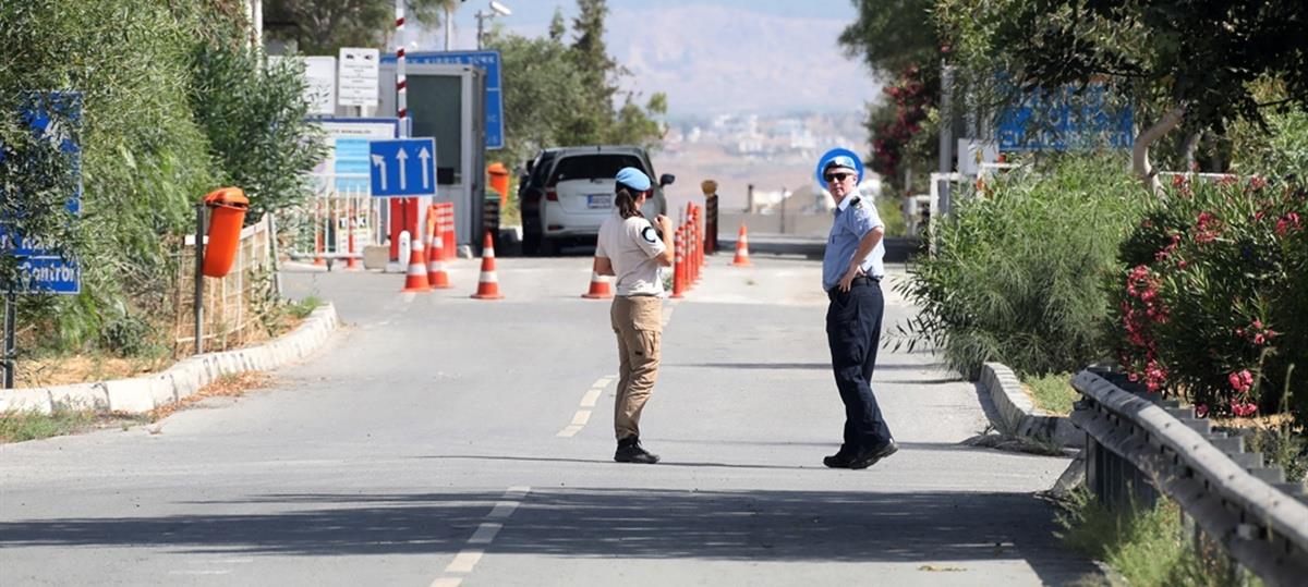 5268074900893696 cats