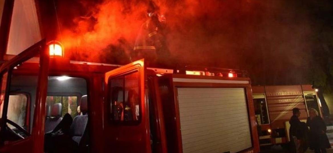 5268088120468867 cats