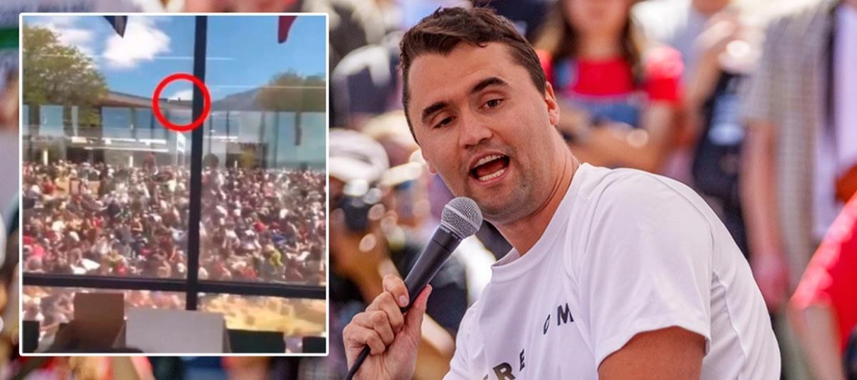 5268215803936585 cats