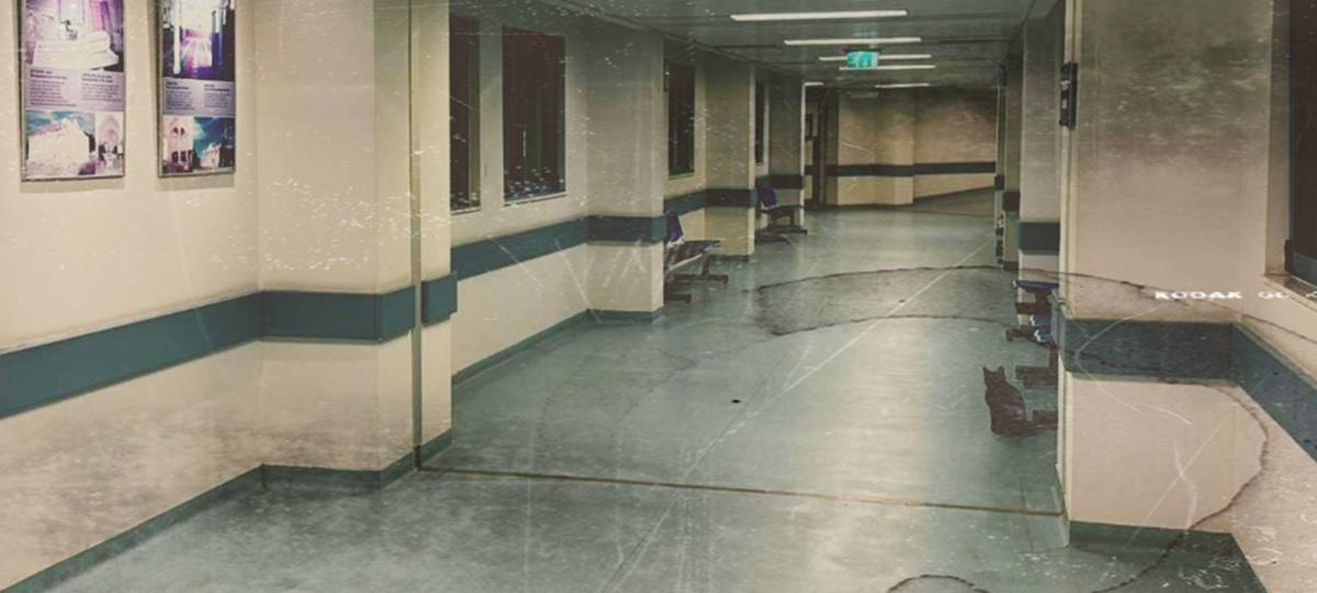 5268223820129729 cats