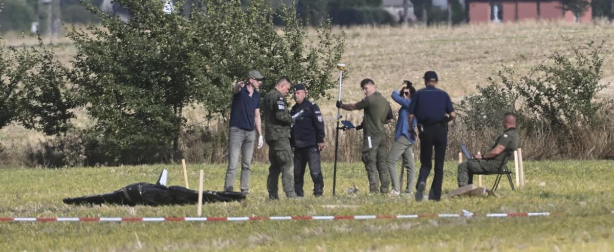 5268258650690755 image