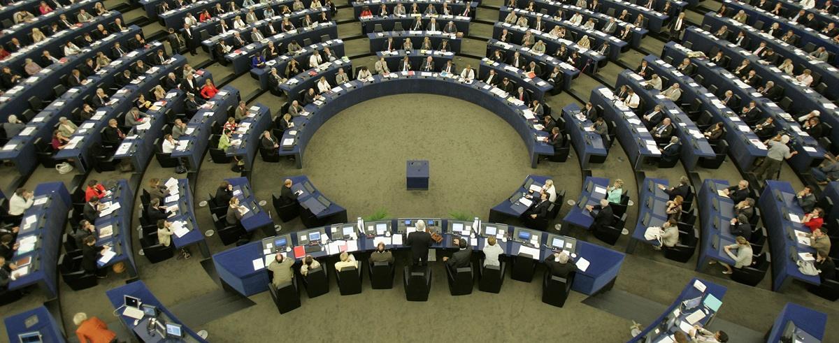 5268299370783729 cats