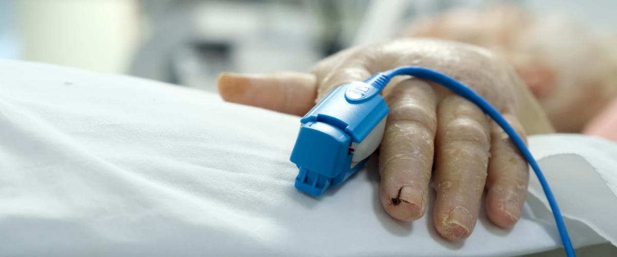 5269090473915255 photo1636731462