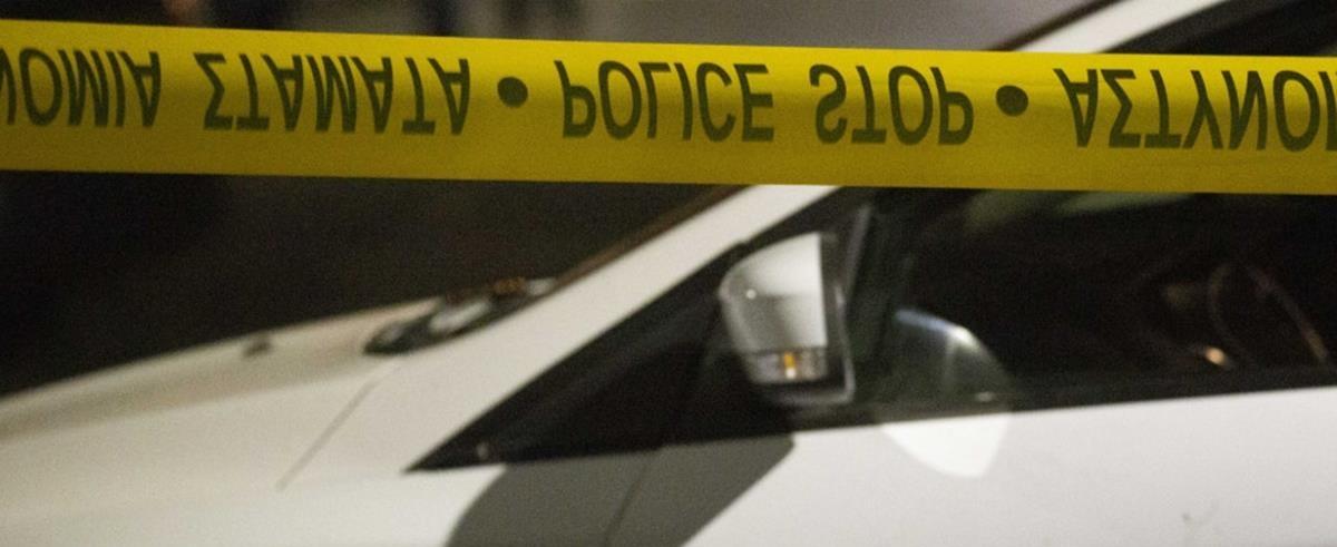 5269261458597595 cats