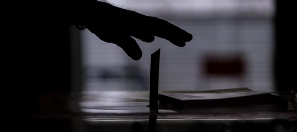 5269304316174946 cats