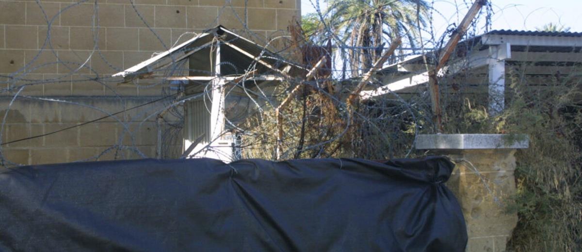 5269319554043443 cats