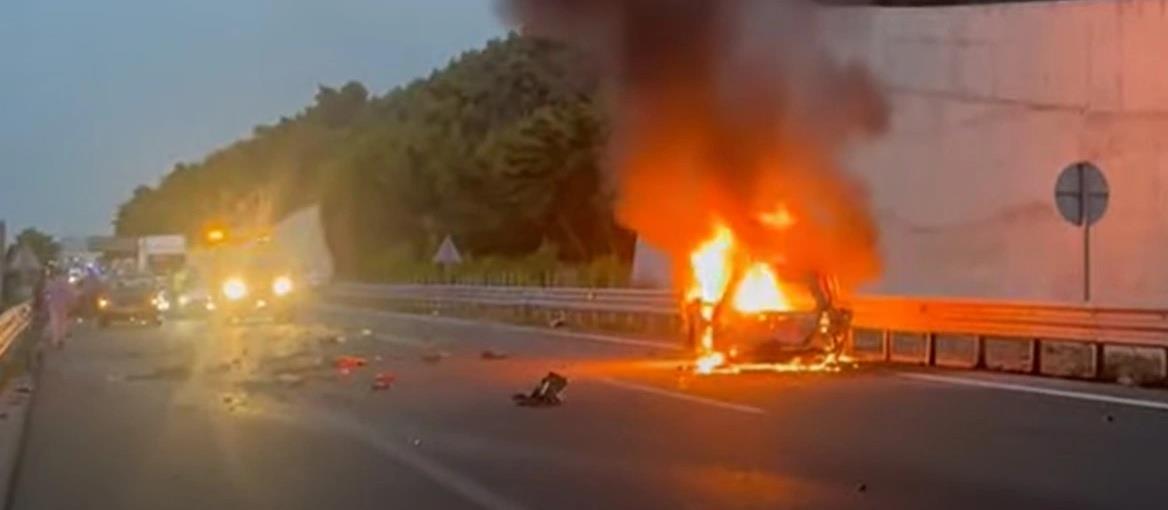 5269362367209332 cats