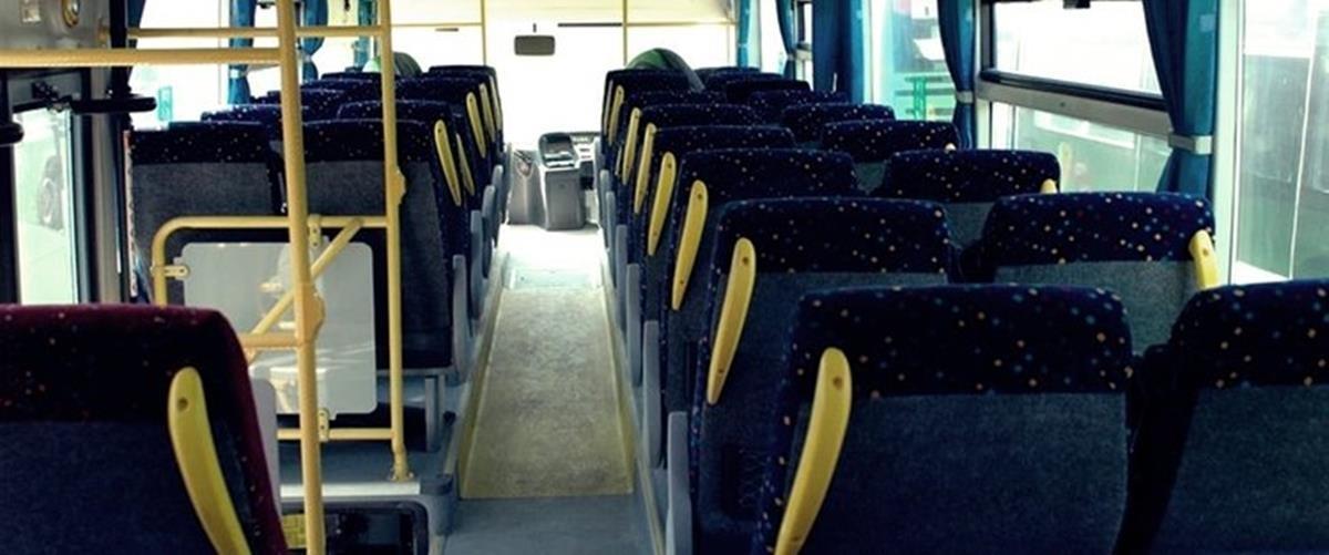 5269379370309265 cats