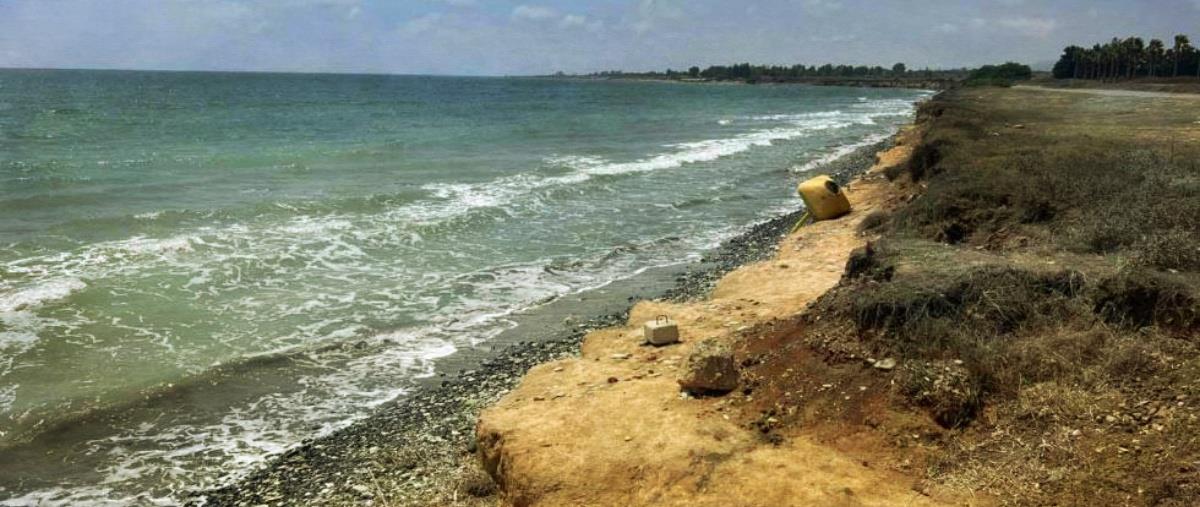 5268358490675561 cache 980x980 Analog medium 1322796 141983 25 08 28 160923