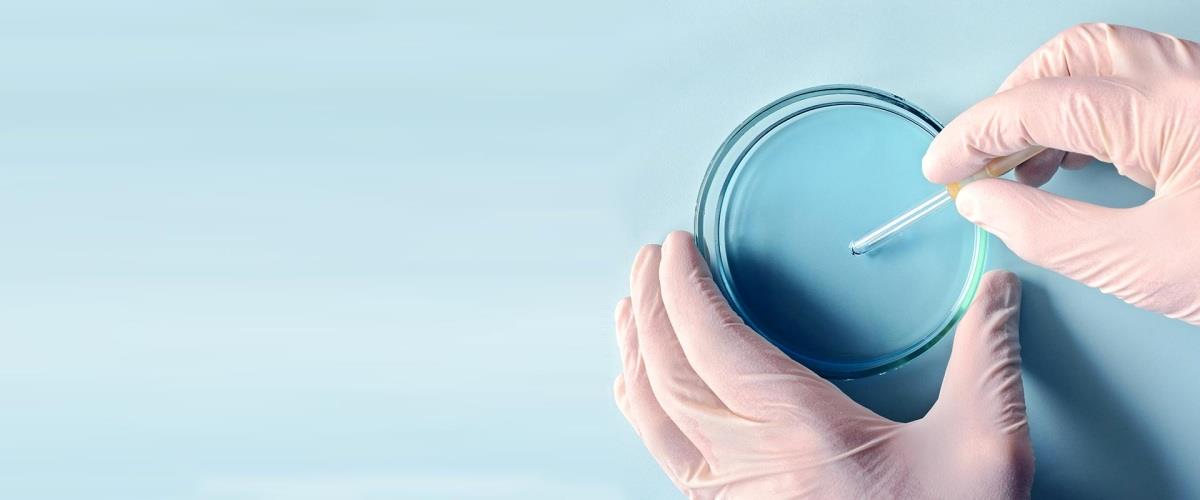 5269227752731274 home-slideshow-01