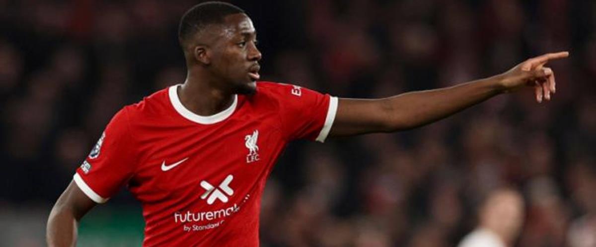 5270679368961712 cats