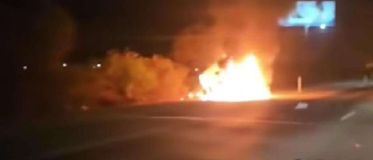 5270705272651551 cats