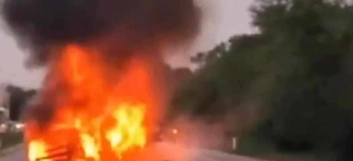 5270817503645556 cats