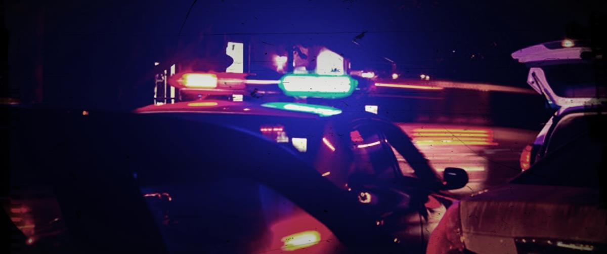 5271072212674961 cats