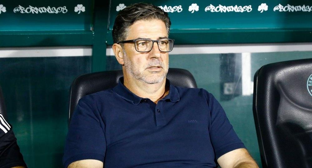 5271917204294173 cats