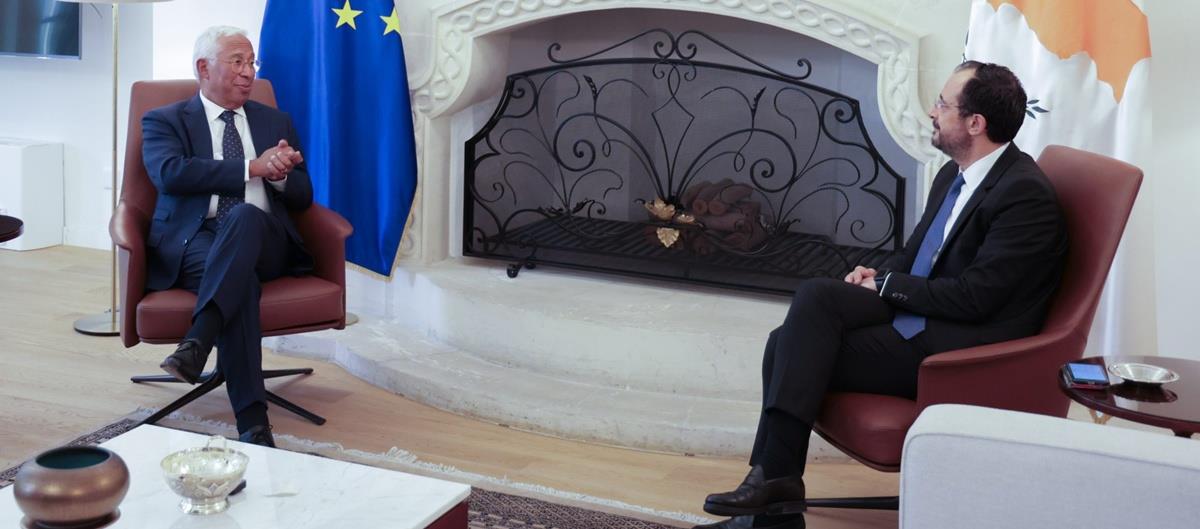 5271940304398336 cats