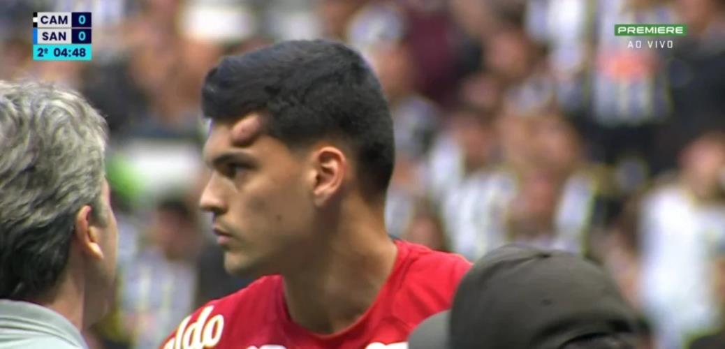 5271944892413843 cats