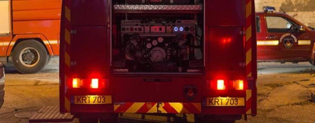 5272383351507004 cats