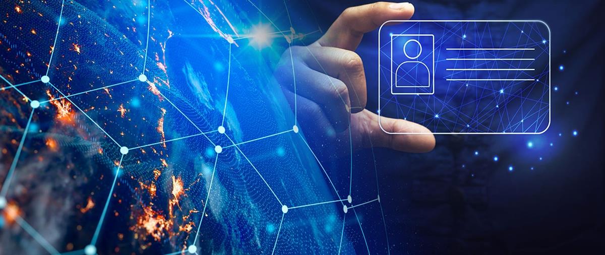 5272467173297609 cats