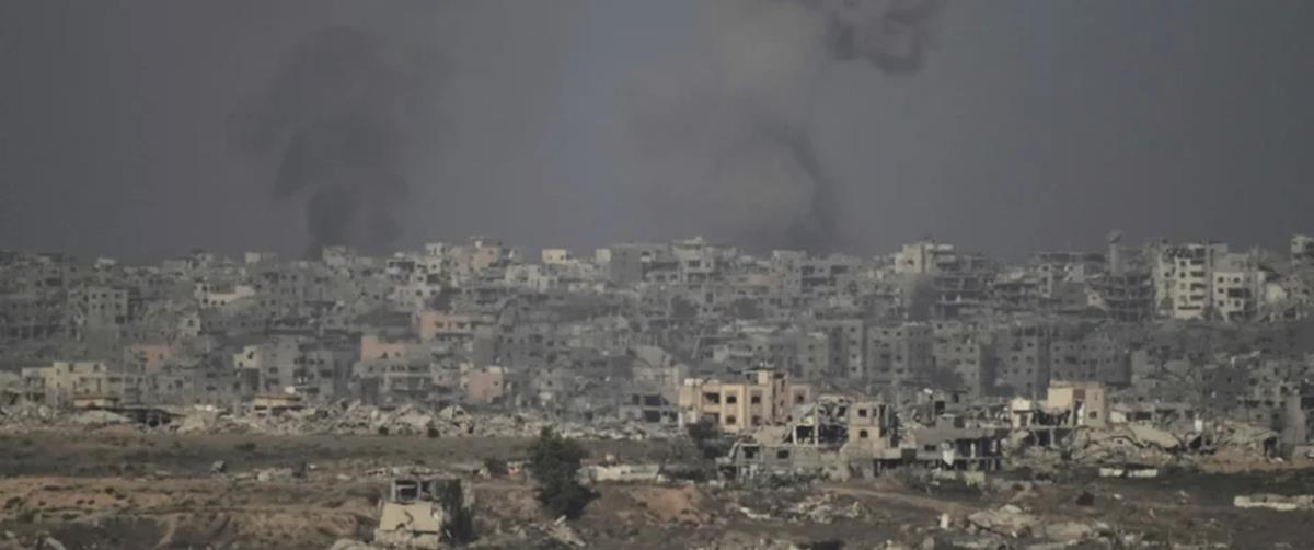 5272641583638216 cats