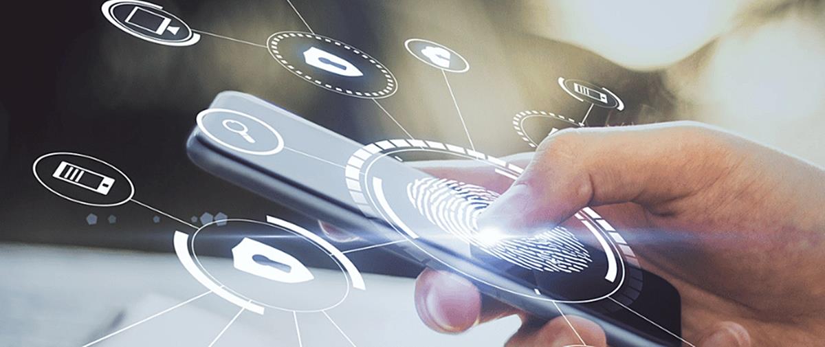 5272656332115831 cats