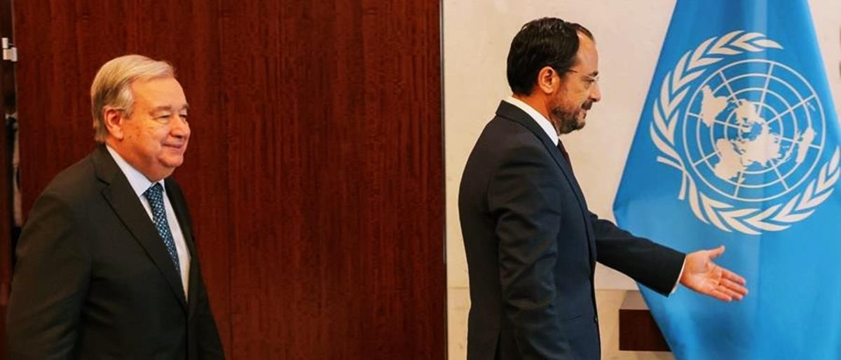 5273262924305478 cats