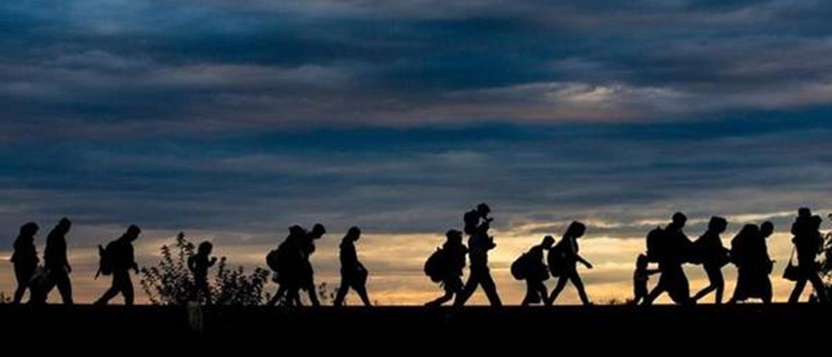 5273463052992514 cats