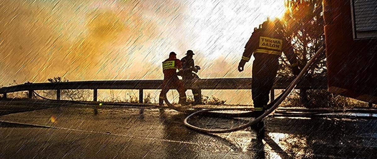 5273469552508050 cats