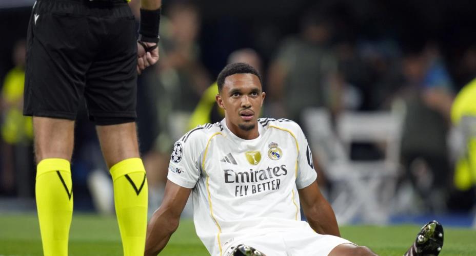 5273493595381262 image