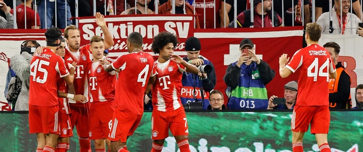 5274123478876943 cats