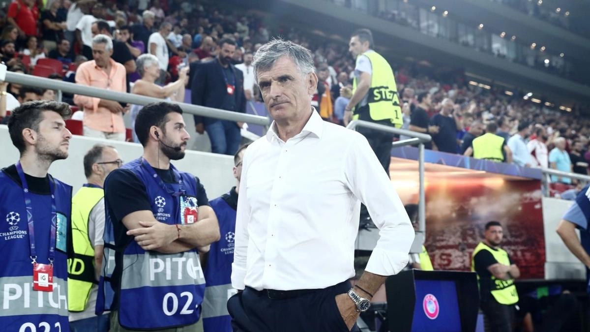 5274153394549078 image